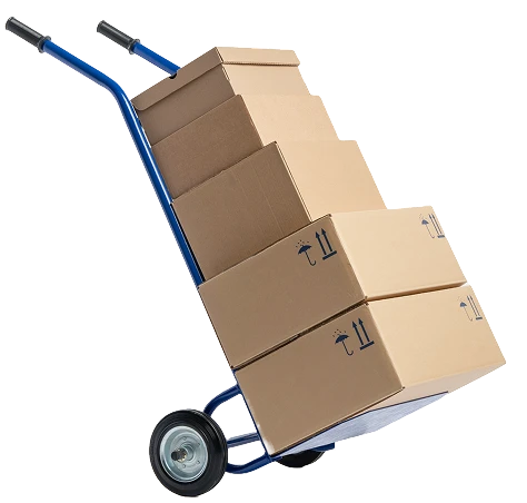 38220130_8429295 1 38220130_8429295 1